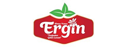 Ergin